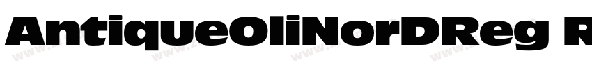 AntiqueOliNorDReg Re字体转换